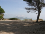 Blick zum Strand - Bucht von Alcudia