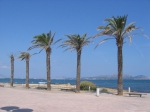 Can Picafort - Bucht von Alcudia